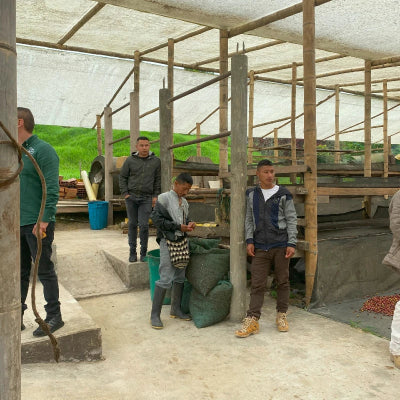Four men standing in a greenhouse-like structure with wooden frames and greenery in the background.