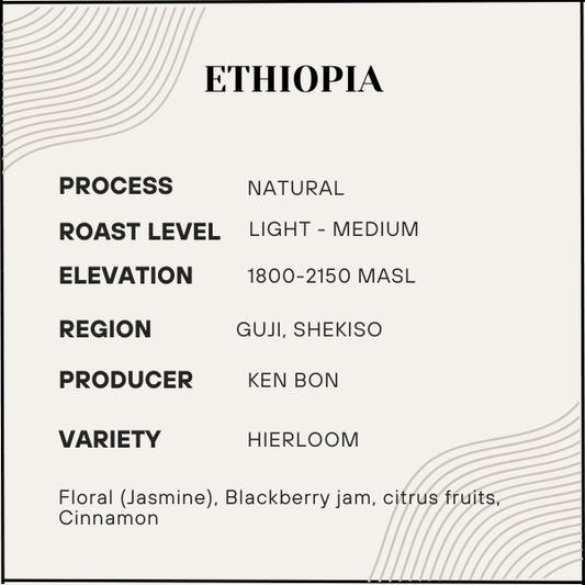 Oroma - Ethiopia - Light-Medium
