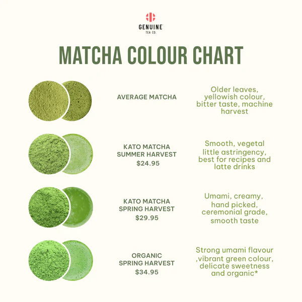 Kato Matcha Spring Harvest