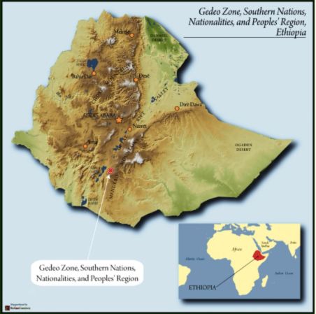 Gr 1 Natural from Banko Gotiti, Gedeb — Ethiopia (Releasing June 4th)
