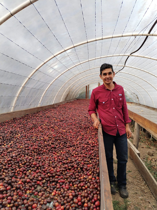 Meet Muse: A New Chapter in Our Coffee Story