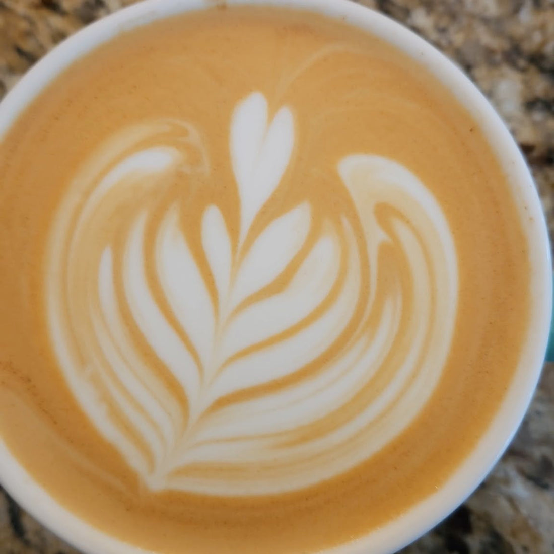 Mohammad's Tanka Double Shot on the Bambino Plus