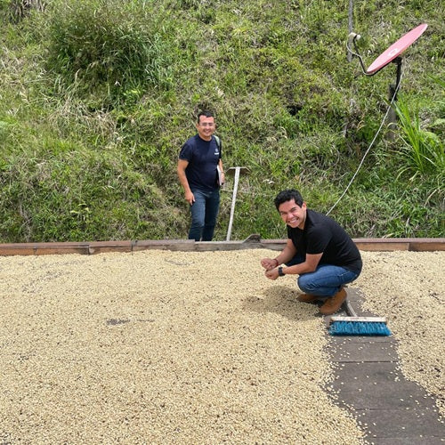Lírica: A Coffee Written by the Mountains of Montebonito