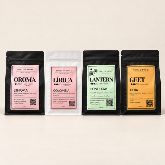 Pour-over/Filter bundle