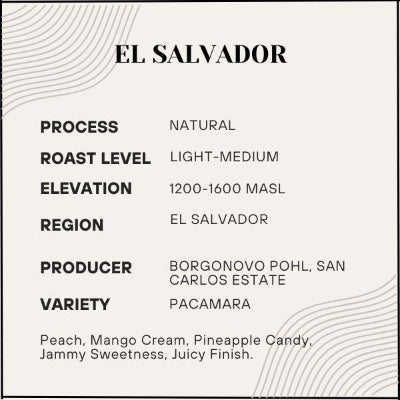 Coffee information card for El Salvador coffee with details on process, roast level, elevation, region, producer, and variety.