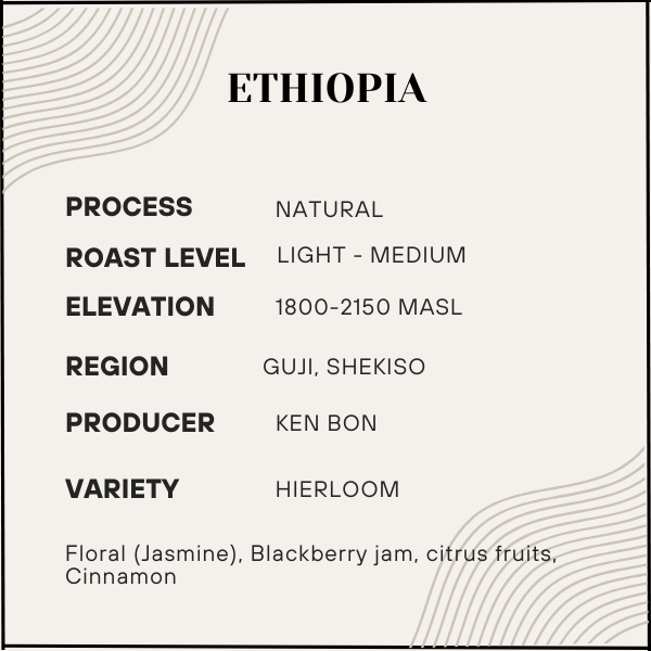 Oroma - Ethiopia - Light-Medium