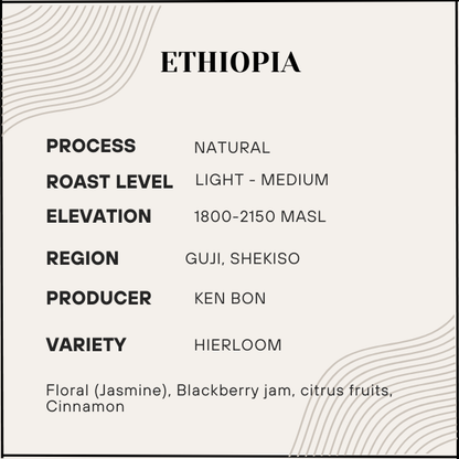 Oroma - Ethiopia - Light-Medium