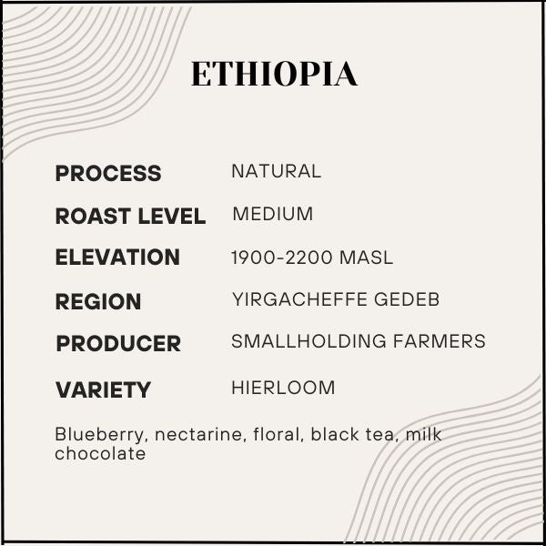 Proem - Ethiopia Yirgacheffe Natural (New!)