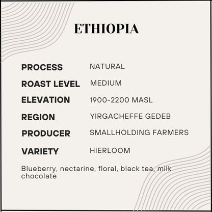 Proem - Ethiopia Yirgacheffe Natural (New!)