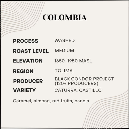 Sonnet (Project Black Condor) New!