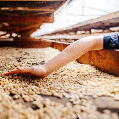 Amor - Nicaragua - Poets & Prose Coffee