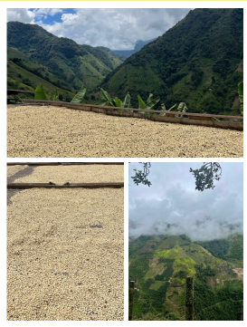 A three-panel collage showing a mountain landscape with green hills, a wide sandy foreground, and a close-up of the sandy surface, likely depicting agricultural produce or a scenic landscape print.