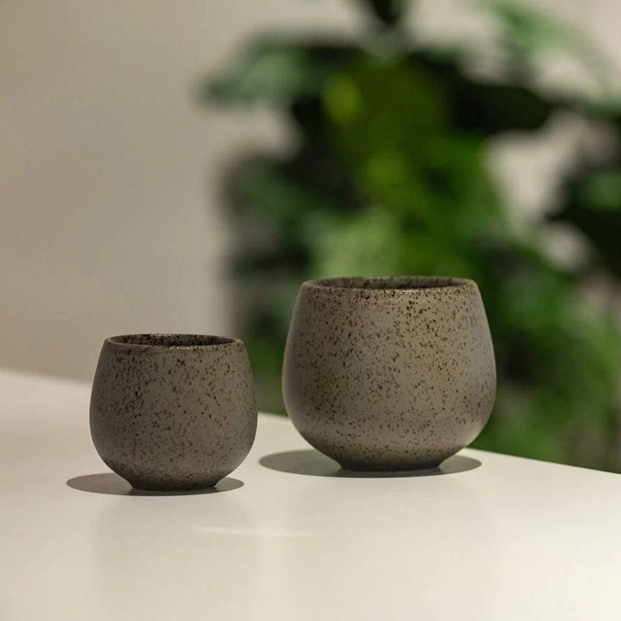 Two small speckled ceramic cups in a matte gray-brown finish, displayed on a white surface with a blurred green plant in the background.